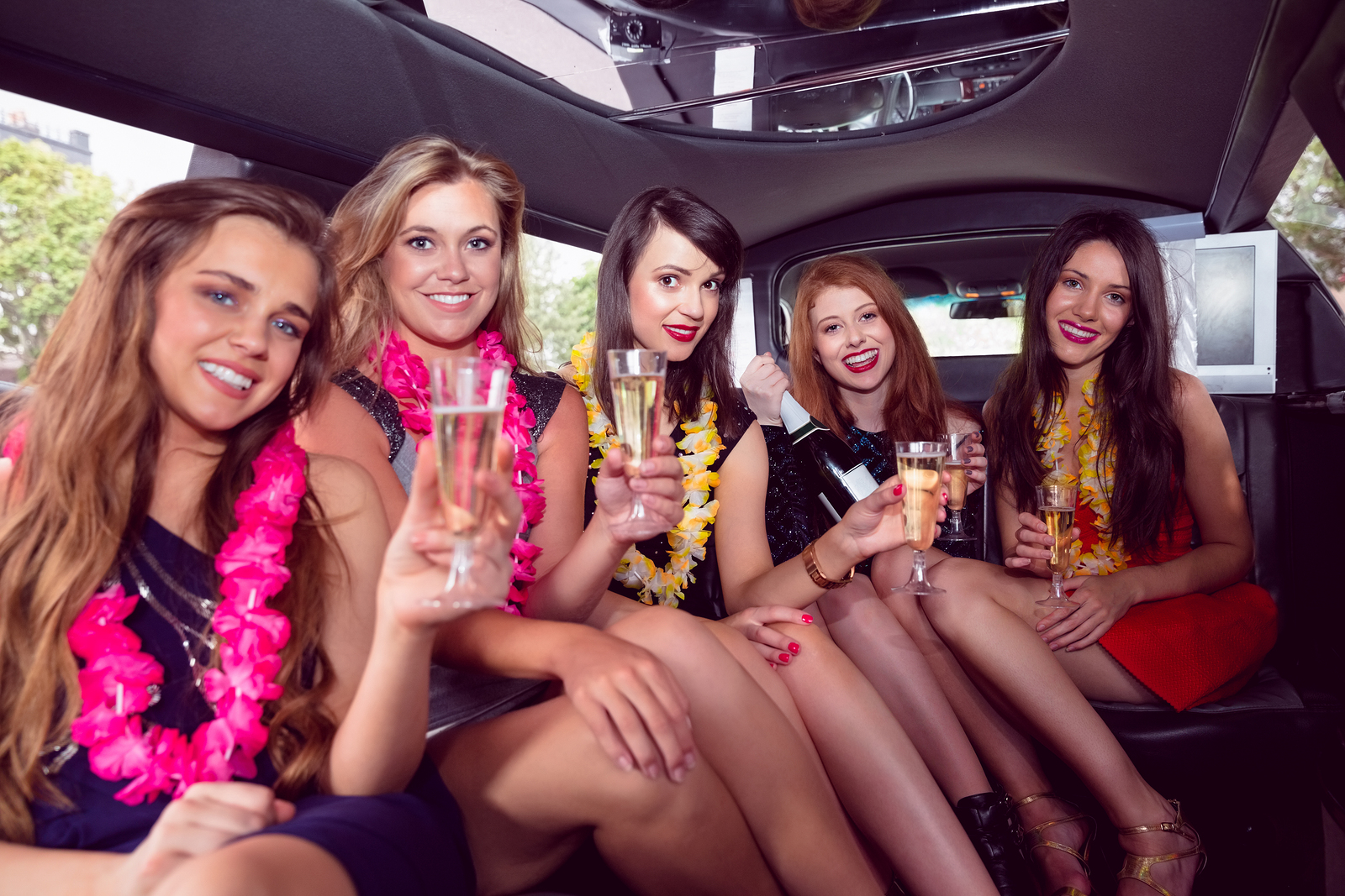 Luxury birthday limousine Long Island